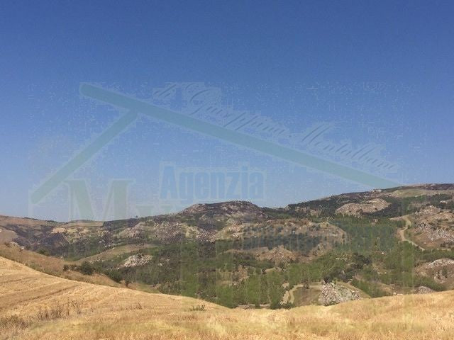 TERRENO FEUDO ALESSANDRIA