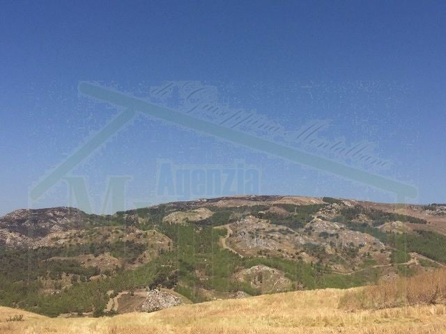 TERRENO FEUDO ALESSANDRIA