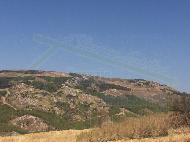 TERRENO FEUDO ALESSANDRIA