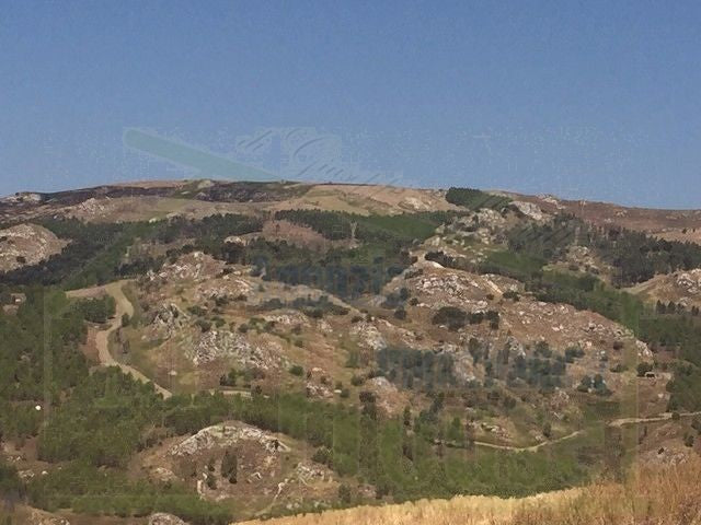TERRENO FEUDO ALESSANDRIA