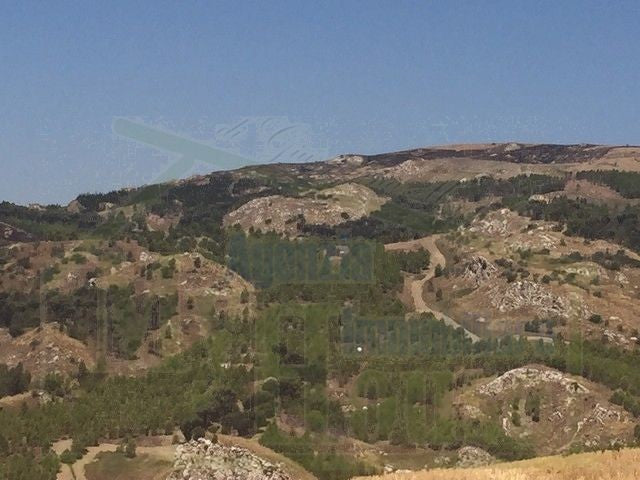 TERRENO FEUDO ALESSANDRIA