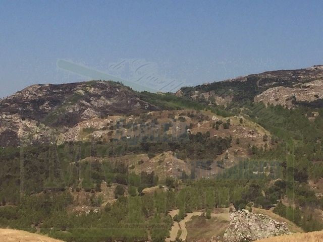 TERRENO FEUDO ALESSANDRIA