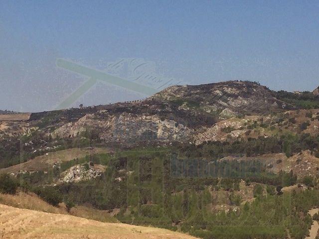 TERRENO FEUDO ALESSANDRIA