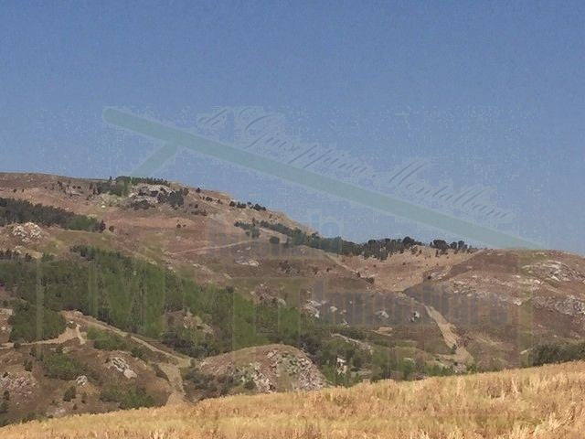 TERRENO FEUDO ALESSANDRIA