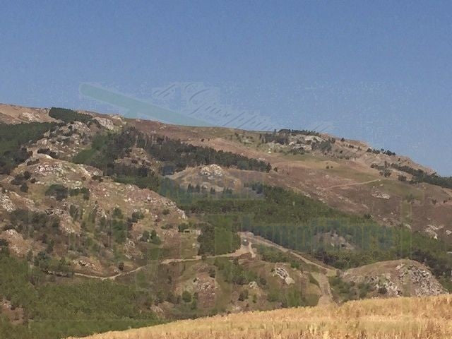 TERRENO FEUDO ALESSANDRIA