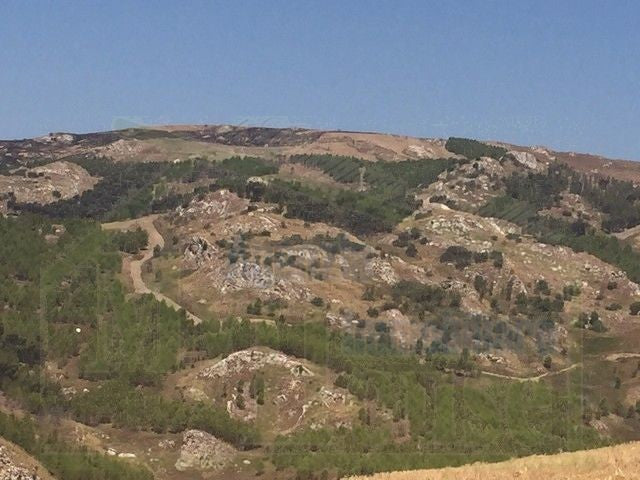 TERRENO FEUDO ALESSANDRIA