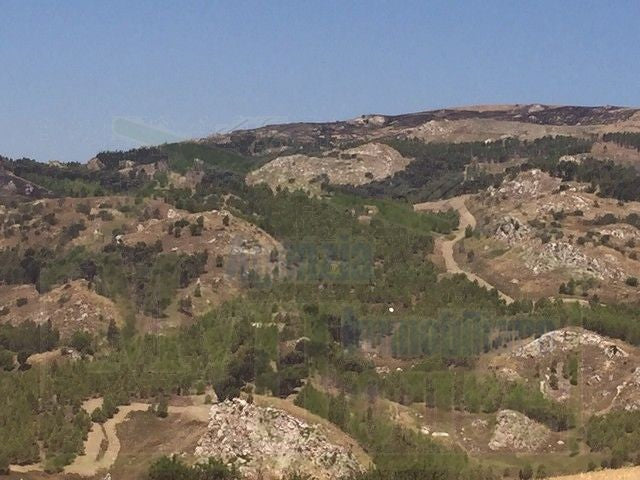 TERRENO FEUDO ALESSANDRIA