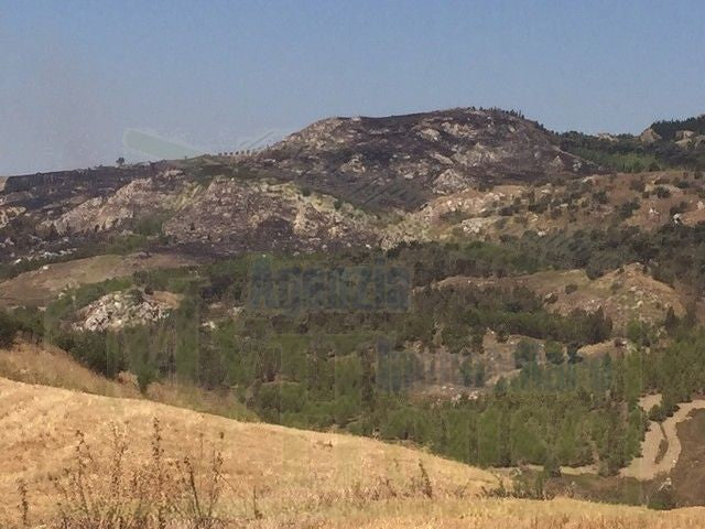 TERRENO FEUDO ALESSANDRIA