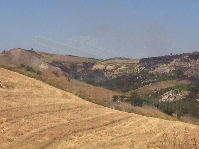 TERRENO FEUDO ALESSANDRIA