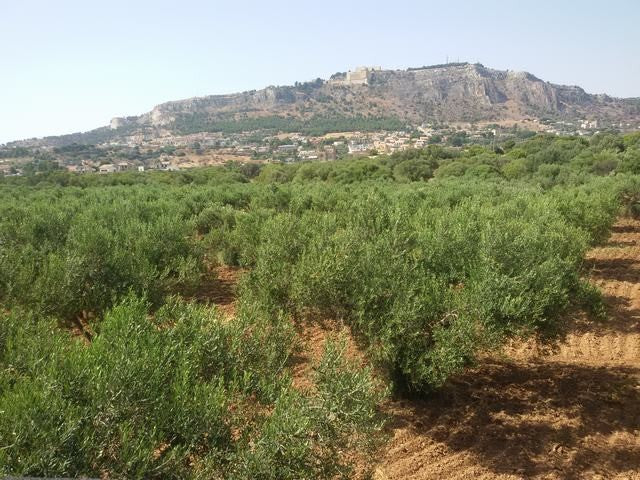 VILLA BALDASSARE – SOVERETO SCIACCA