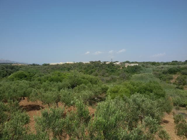 VILLA BALDASSARE – SOVERETO SCIACCA