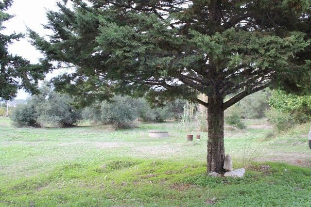 HOUSE AND LAND CDA RINA – REALMONTE