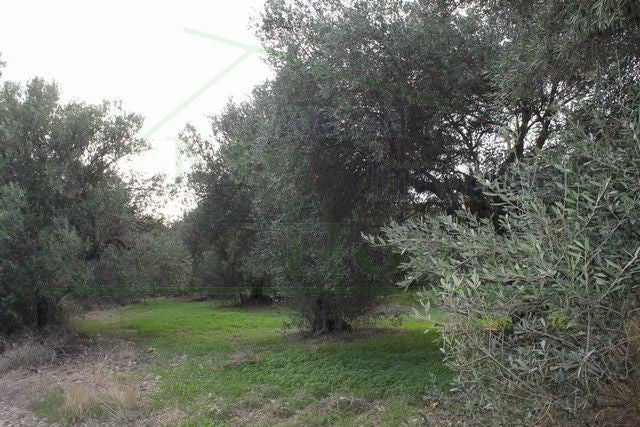 HOUSE AND LAND CDA RINA – REALMONTE