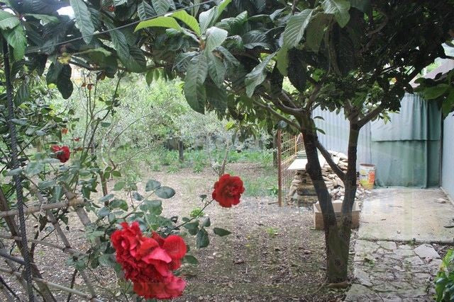 VILLA TERESA - SANTO STEFANO QUISQUINA