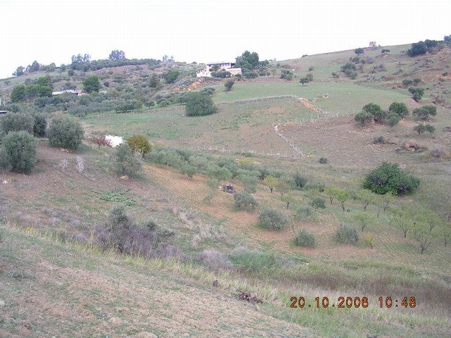 TERRENO CILONA CONTRADA SCIBBOLONE