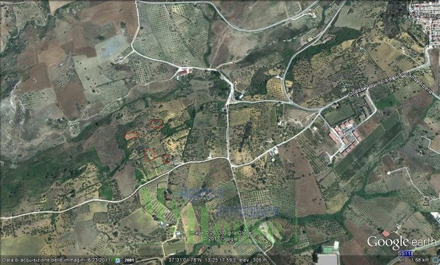 TERRENO SCHEMBRI CONTRADA ALBANO