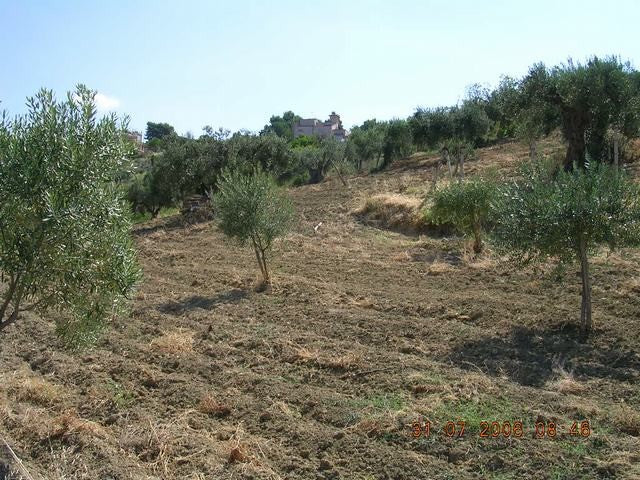 TERRENO GUSCIGLIO - CDA MARULLO