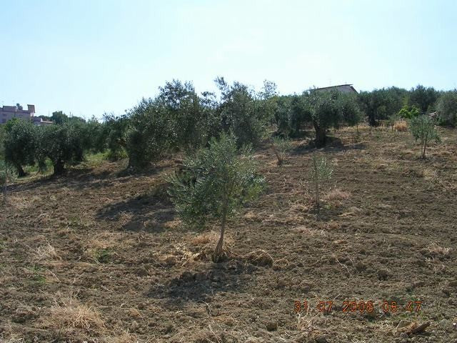 TERRENO GUSCIGLIO - CDA MARULLO
