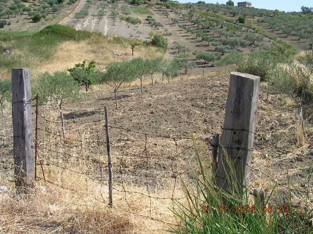 TERRENO GUSCIGLIO - CDA MARULLO