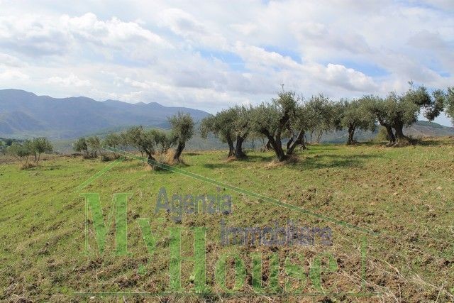 TERRENO PULIZZI CONTRADA NANNU