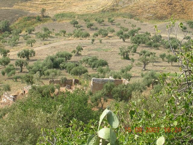 TERRENO TAMBURELLO - TERRENO E CASA