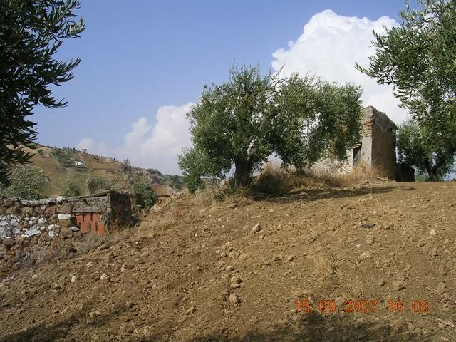 TERRENO TAMBURELLO - TERRENO E CASA