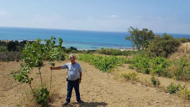 FANTASTICO TERRENO LUNGO LA COSTA SUD - PERGOLE REALMONTE