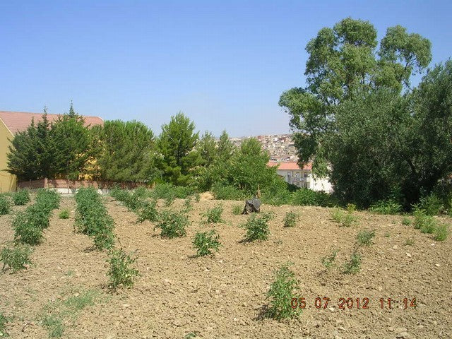 LOTTO TERRENO CONTRADA SERRA