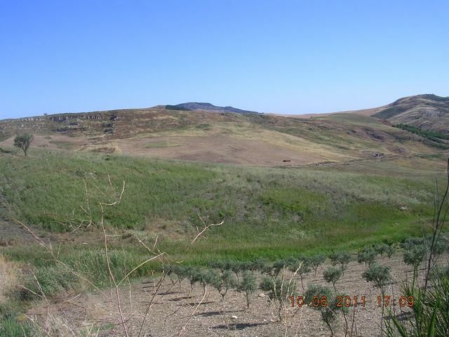 TERRENO ZICARI CONTRADA BALATA