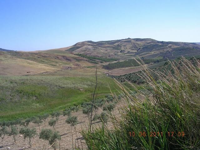 TERRENO ZICARI CONTRADA BALATA