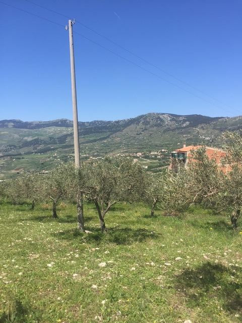 TERRENO PIZZUTO – SANTO STEFANO QUISQUINA (AG)