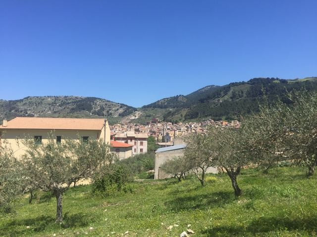 TERRENO PIZZUTO – SANTO STEFANO QUISQUINA (AG)