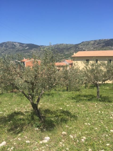 TERRENO PIZZUTO – SANTO STEFANO QUISQUINA (AG)