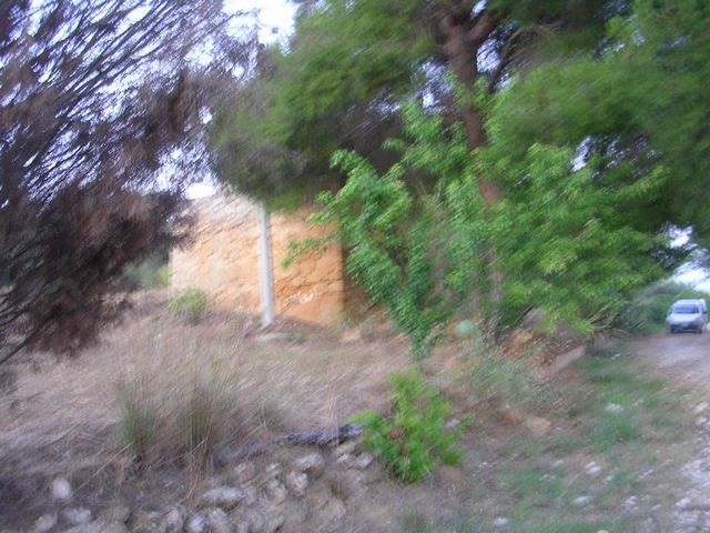 TERRENO RAMETTA CDA BUTERA