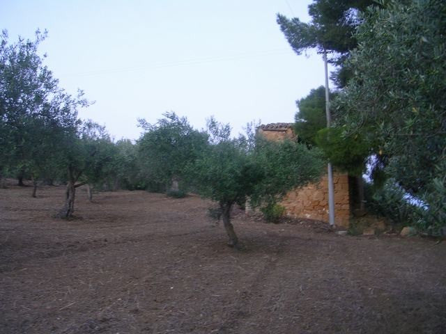 TERRENO RAMETTA CDA BUTERA