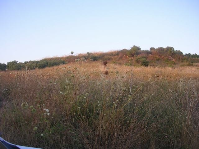 TERRENO MARTORANA FERRARO CDA VITELLACCI