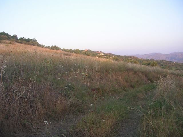 TERRENO MARTORANA FERRARO CDA VITELLACCI