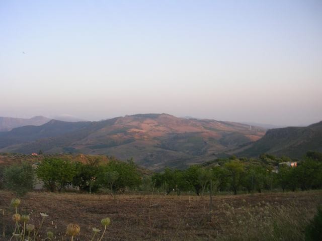TERRENO MARTORANA FERRARO CDA VITELLACCI