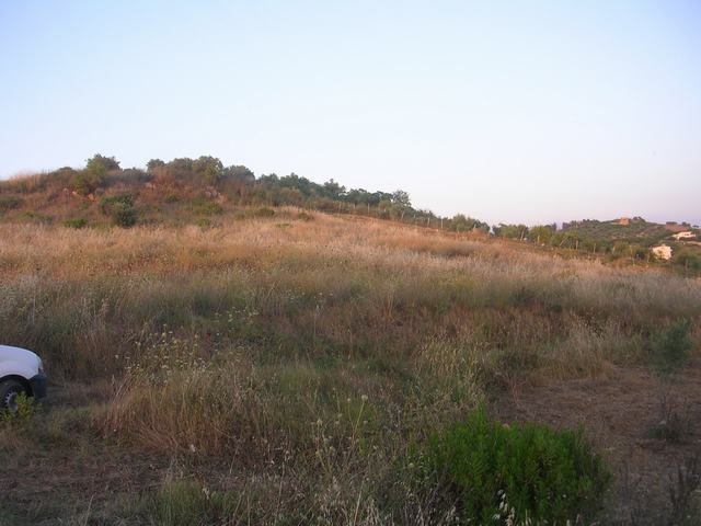 TERRENO MARTORANA FERRARO CDA VITELLACCI