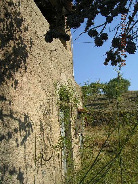 HOUSE AND LAND BASILE – CDA SAVARINI