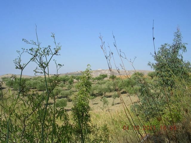 HOUSE AND LAND BASILE – CDA SAVARINI