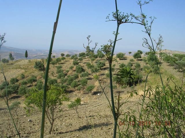 HOUSE AND LAND BASILE – CDA SAVARINI