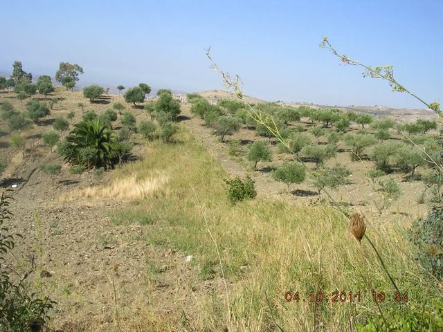 HOUSE AND LAND BASILE – CDA SAVARINI