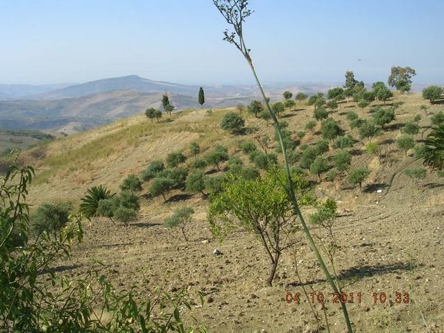 HOUSE AND LAND CICCARELLO – CDA SAVARINI