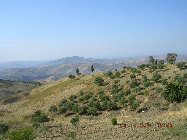HOUSE AND LAND CICCARELLO – CDA SAVARINI