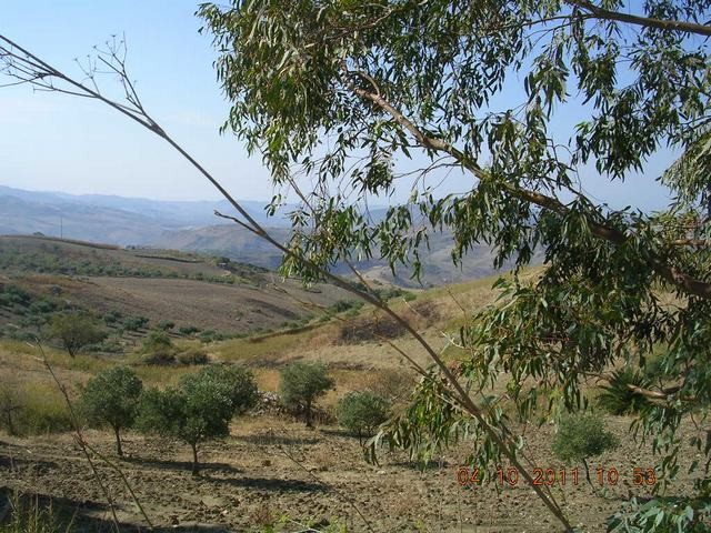 HOUSE AND LAND CICCARELLO – CDA SAVARINI