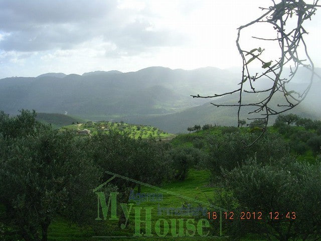 PANORAMIC HOUSE AND LAND CONTRADA FAMIDRU