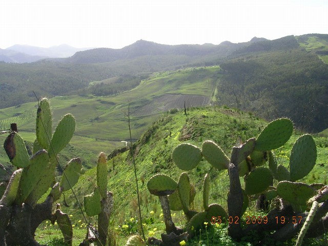 LAND REGINALD CALEDONIA - PROPERTY IN SICILY