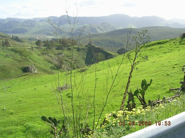 LAND REGINALD CALEDONIA - PROPERTY IN SICILY
