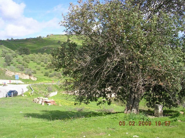 LAND REGINALD CALEDONIA - PROPERTY IN SICILY